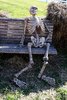 funny-skeleton-waiting-in-garden.jpg