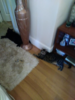 upload_2017-6-18_12-39-5.png