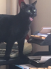 upload_2018-8-20_10-38-57.png