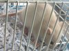 IMG_20171011_130734.jpg