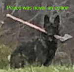 peace was never an option.png
