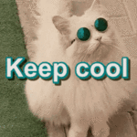 keep-cool-cool-cat.gif