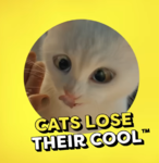 upload_2026-5-30_5-26-40.png