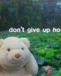 dontgiveupho.jpeg