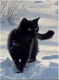 HughCat