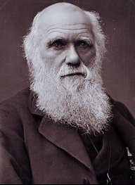 DarwinatWerk