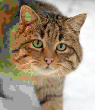 SHANSARAN
