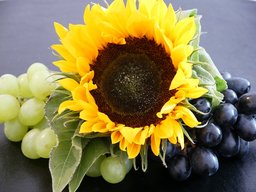 sunflowerladi