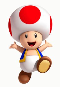 Toad004