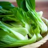 DocLettuce