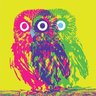 LurkinNturkin