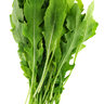 Arugula