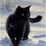 HughCat