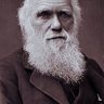 DarwinatWerk