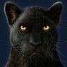 Panther