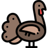 jwturkeyturk