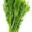 Arugula
