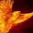 Pheonix76