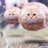 mooncake