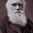 DarwinatWerk