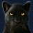 Panther